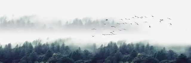Mountain Lakes Forest Wilderness Canvas Wall Art for Living Room Decor
